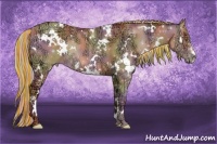 Horse Color:Painted Nacre White Spotted Silver Amber Champagne Ice Rabicano