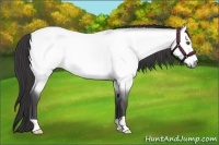 Horse Color:Platinum Buckskin Dun 