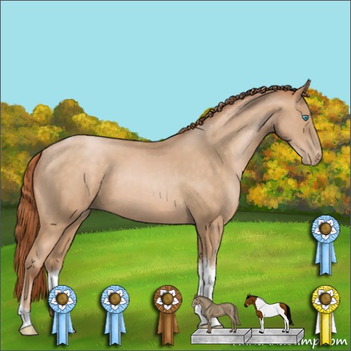 Horse Color:Buckskin Pearl Tobiano 