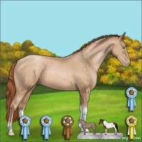 Horse Color:Buckskin Pearl Tobiano 