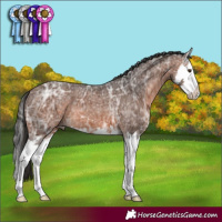 Horse Color:Brown Ice Mushroom Sabino Splash 