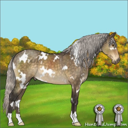 Horse Color:White Spotted Silver Buckskin Dun Mushroom 