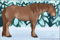 Horse Color:Red Roan 