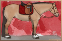 Horse Color:Bay Dun 