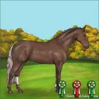 Horse Color:Silver Black