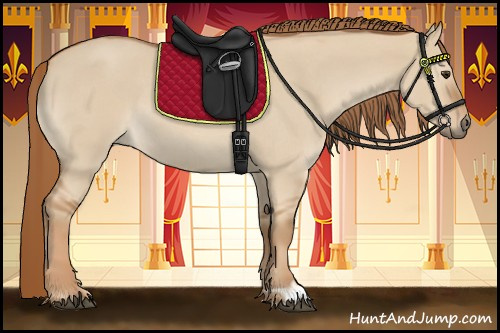 Horse Color:Red Dun Roan 