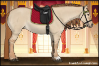 Horse Color:Red Dun Roan 