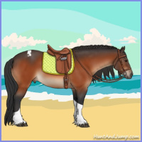 Horse Color:Bay Tobiano