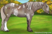 Horse Color:White Spotted Chocolate Silver Black 