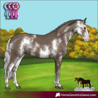 Horse Color:Silver Black Sabino 