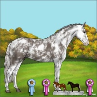 Horse Color:Silver Black Sabino