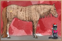 Horse Color:Chestnut  and Gold Champagne 