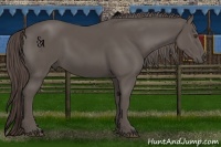Horse Color:Platinum Liver Chestnut Rabicano 