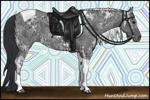 Horse Color:Black Ice Tobiano Rabicano