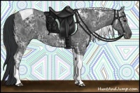 Horse Color:Black Ice Tobiano Rabicano