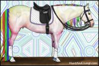 Horse Color:Gray Painted Red Dun