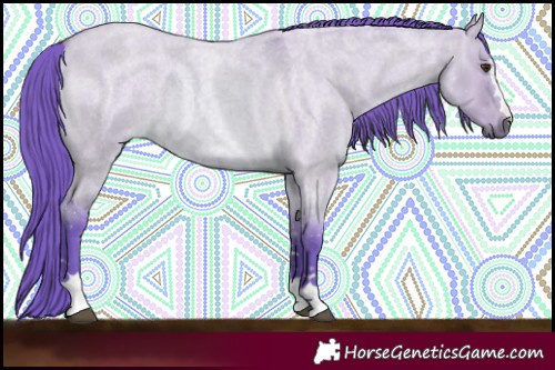 Horse Color:Watercolor Bay Roan Dun 
