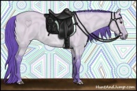 Horse Color:Watercolor Bay Roan Dun 