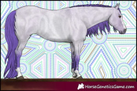 Horse Color:Watercolor Bay Roan Dun 