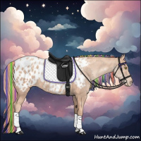 Horse Color:Painted Gold Champagne Appaloosa 