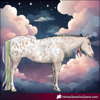 Horse Color:Painted Gold Champagne Appaloosa 