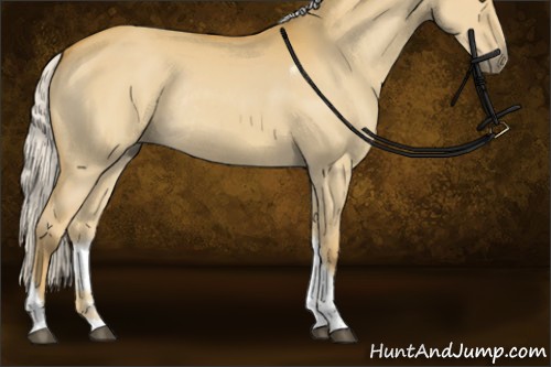 Horse Color:Silver Buckskin Dun Tobiano Rabicano