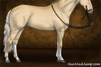 Horse Color:Silver Buckskin Dun Tobiano Rabicano