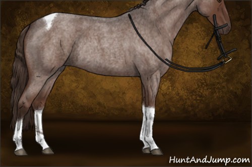 Horse Color:Liver Red Roan Tobiano Rabicano