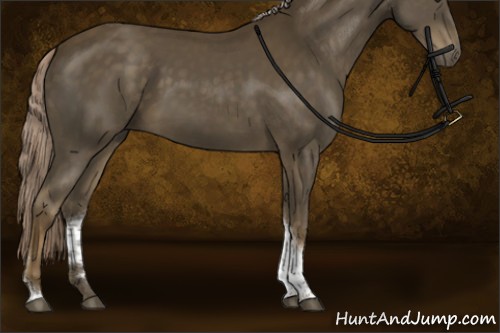 Horse Color:Chocolate Palomino Tobiano Rabicano 