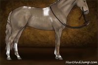 Horse Color:Chocolate Palomino Tobiano Rabicano