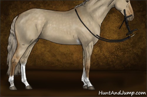 Horse Color:Chocolate Palomino Dun Tobiano Rabicano 