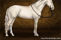 Horse Color:Palomino Pearl Dun Sabino Tobiano Rabicano