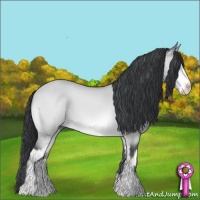 Horse Color:Brown Chinchilla Dun Sabino 