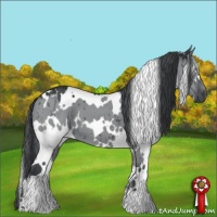 Horse Color:White Spotted Grullo Chinchilla Brindle 