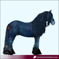 Horse Color:ERROR: UNKNOWN ANOMALY