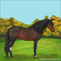 Horse Color:Liver Chestnut 