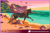 Horse Color:Liver Chestnut 