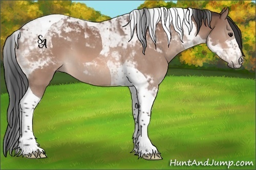 Horse Color:Brown Tobiano
