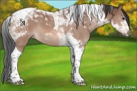 Horse Color:Brown Tobiano 
