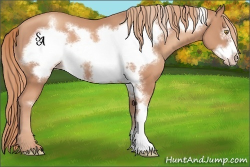 Horse Color:Gold Champagne Frame 