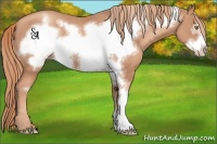 Horse Color:Gold Champagne Frame 