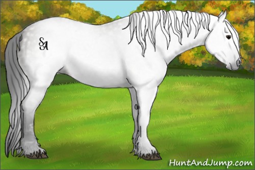 Horse Color:Gray Void Grullo Splash 