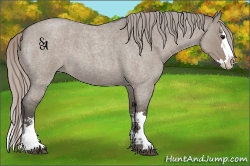 Horse Color:Silver Grullo Roan Sabino Splash 