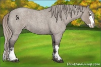 Horse Color:Silver Grullo Roan Sabino Splash 