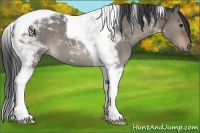 Horse Color:Brown Roan Dun Tobiano 
