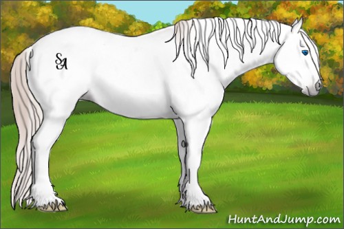 Horse Color:Gray Gold Champagne Sabino Frame Rabicano 