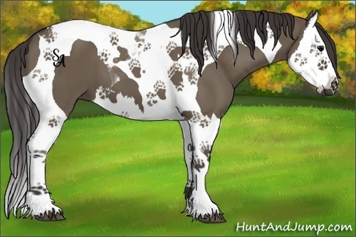Horse Color:Smoky Grullo Splash Tobiano 