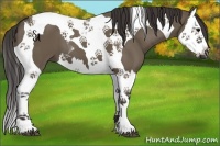 Horse Color:Smoky Grullo Splash Tobiano 