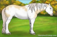 Horse Color:Silver Classic Champagne Dun Splash Frame 