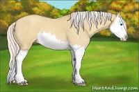 Horse Color:Silver Classic Cream Champagne Dun Splash